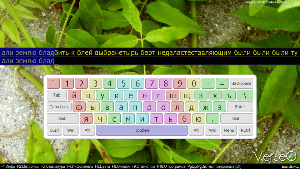 Скриншот клавиатурного тренажера VerseQ